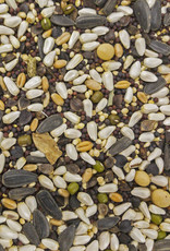 Versele-Laga Higgins Versele-Laga Higgins Sunburst Soak n Sprout Small Bird Treat - 3 oz.