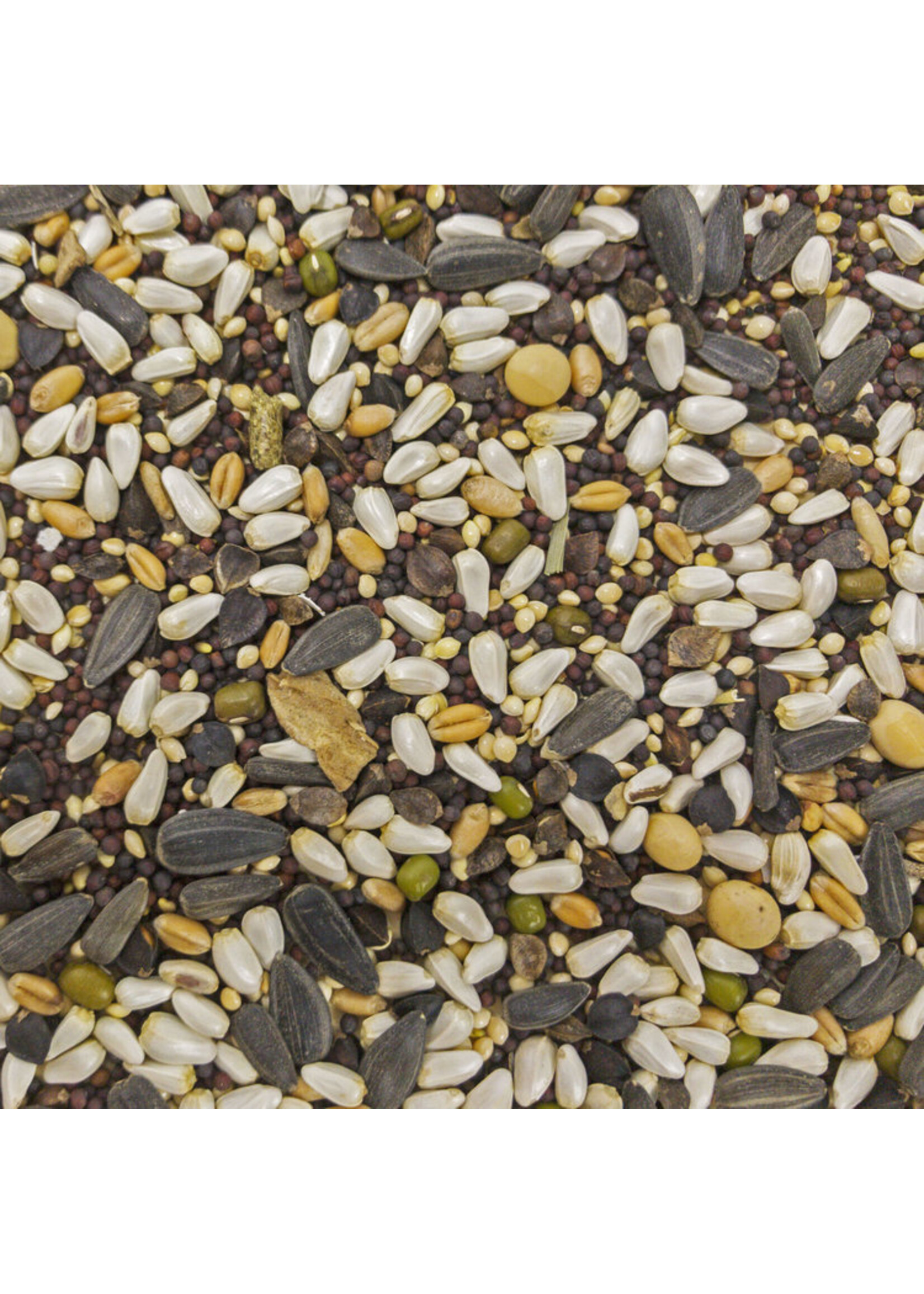 Versele-Laga Higgins Versele-Laga Higgins Sunburst Soak n Sprout Small Bird Treat - 3 oz.