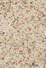 Versele-Laga Higgins HIGGINS VITA PARAKEET 25LBS