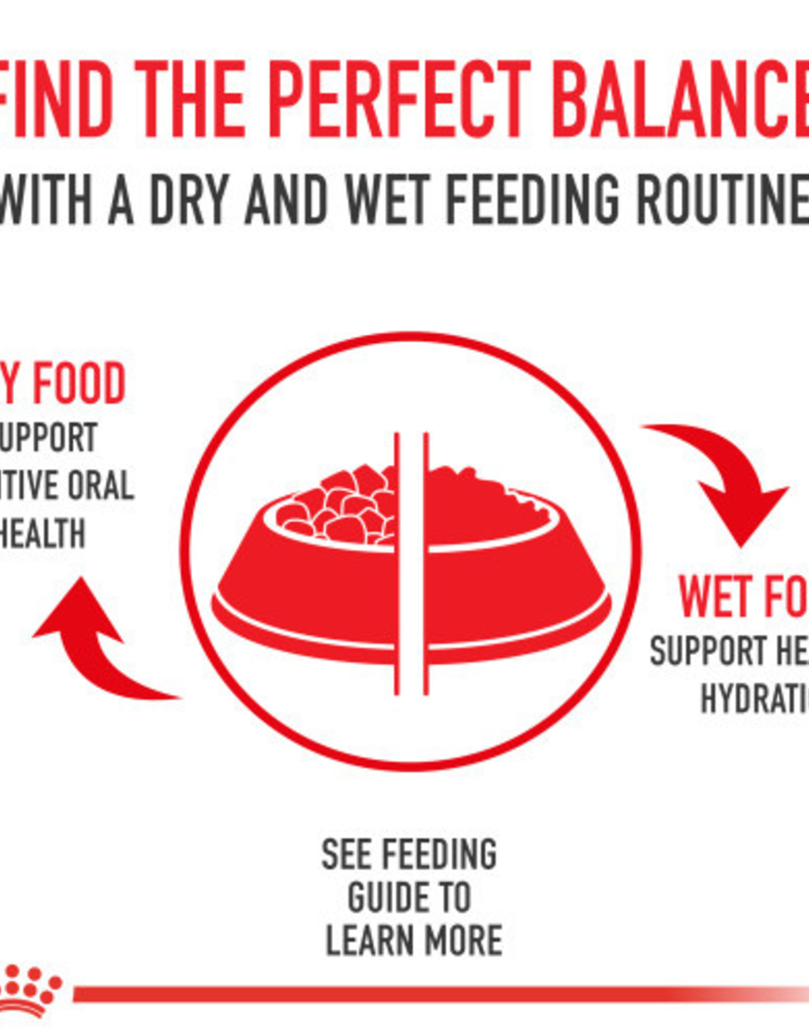 Royal Canin Royal Canin Aging 12+ Senior Thin Slices in Gravy Wet Cat Food - 3 Oz Cans, Case of 24