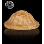 Starmark Starmark Everlasting Dog Treat Chicken Small