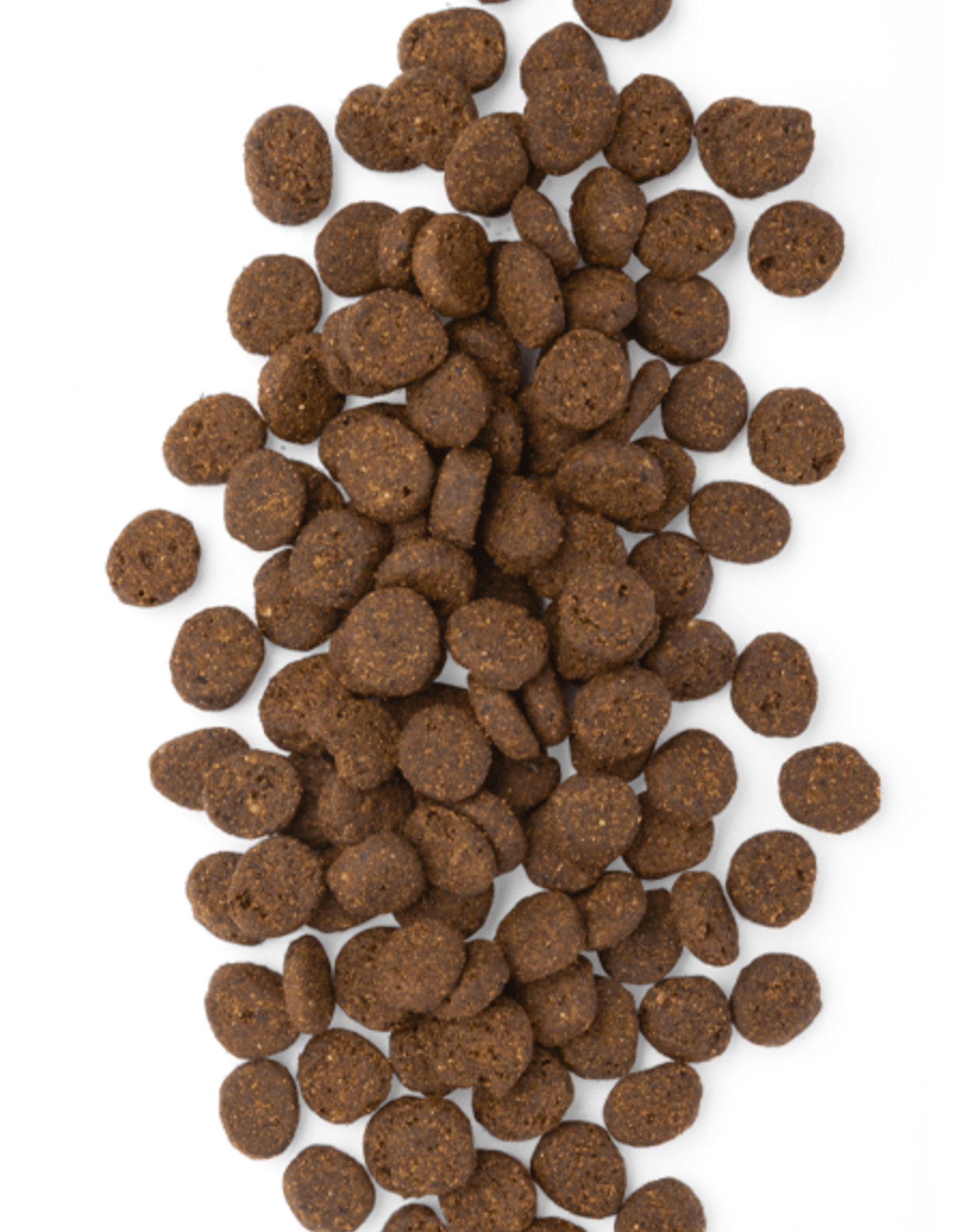 Earthborn Holistic EARTHBORN DOG UNREFINED ANCIENT GRAINS SMOKED SALMON 25LBS