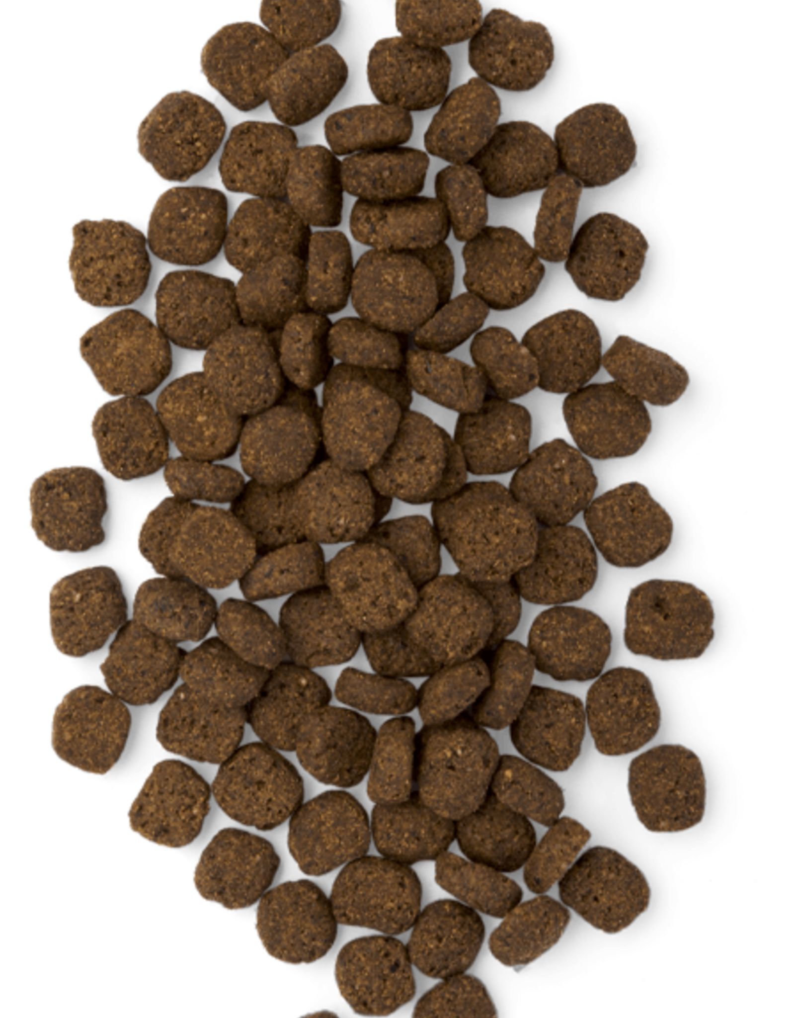 Earthborn Holistic EARTHBORN DOG UNREFINED ANCIENT GRAINS ROASTED LAMB 4LBS