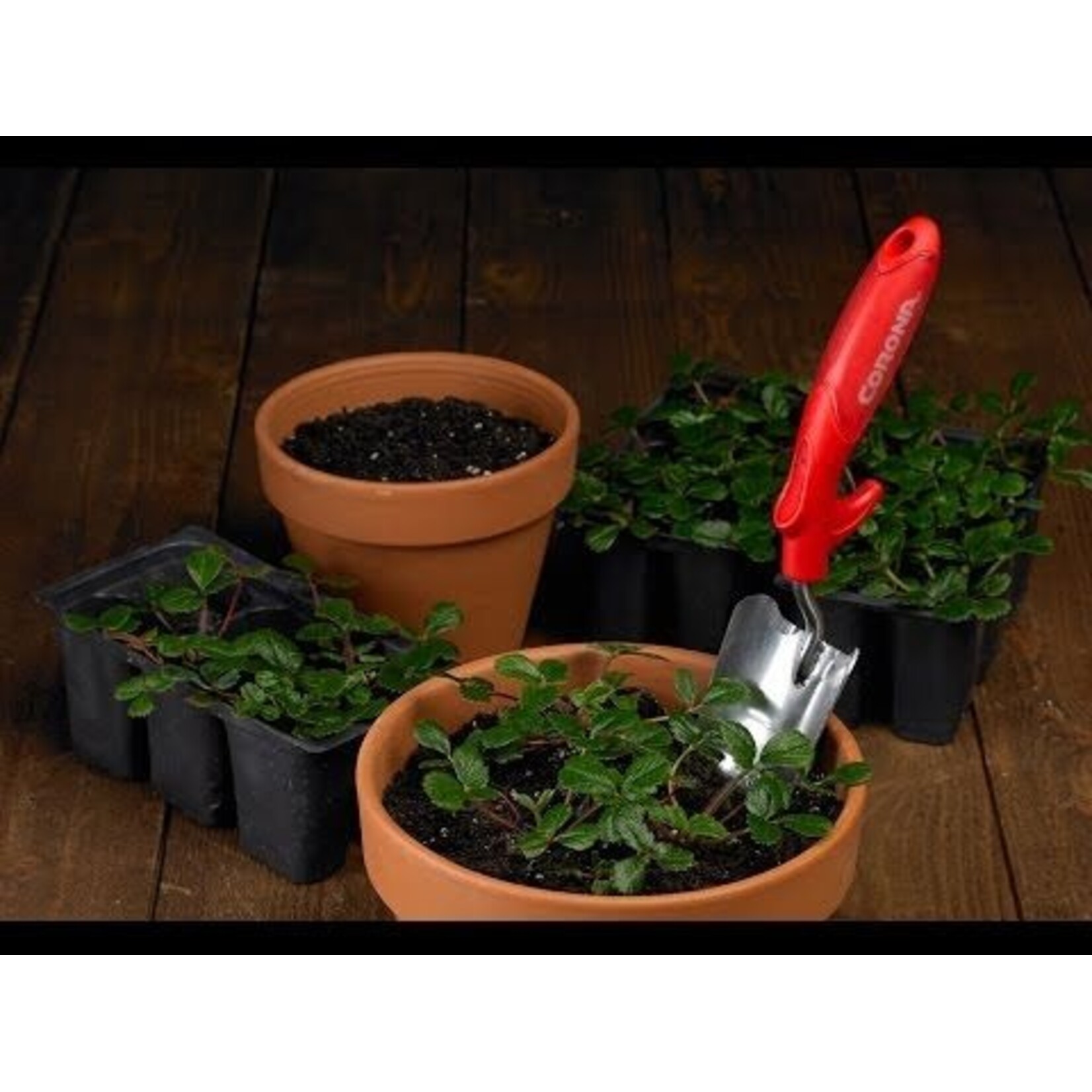 Corona Corona Trowel Comforttool Grip Wide 3in Blade Aluminum Alloy
