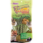 Brown's Brown's Tropical Carnival NATURAL WHEAT SPRAY