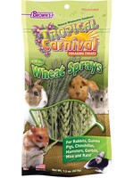 Brown's Brown's Tropical Carnival NATURAL WHEAT SPRAY