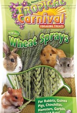 Brown's Brown's Tropical Carnival NATURAL WHEAT SPRAY