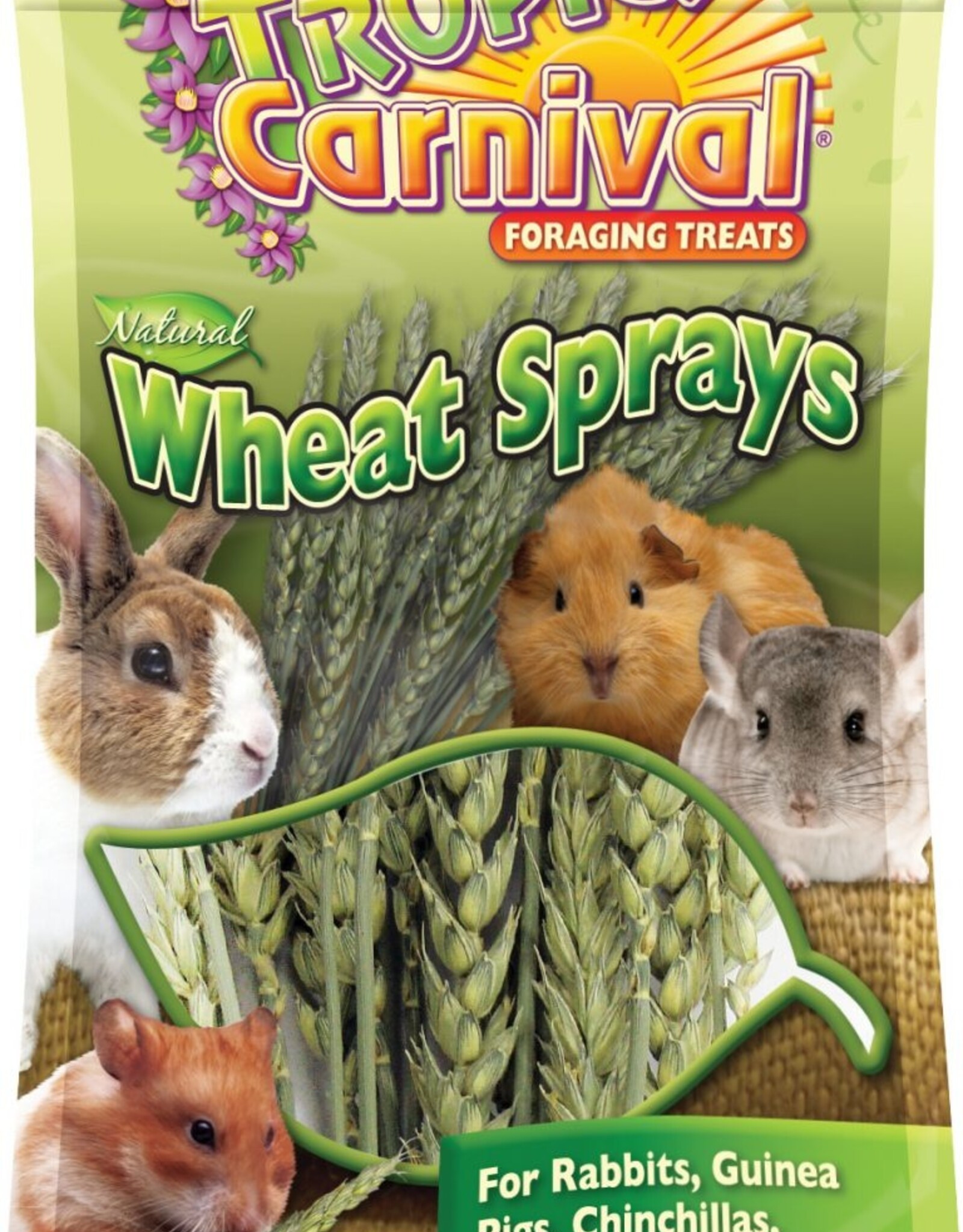Brown's Brown's Tropical Carnival NATURAL WHEAT SPRAY