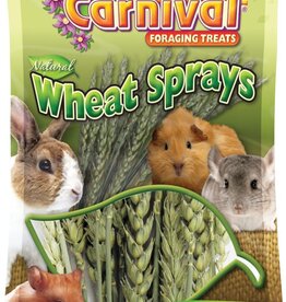 Brown's Brown's Tropical Carnival NATURAL WHEAT SPRAY