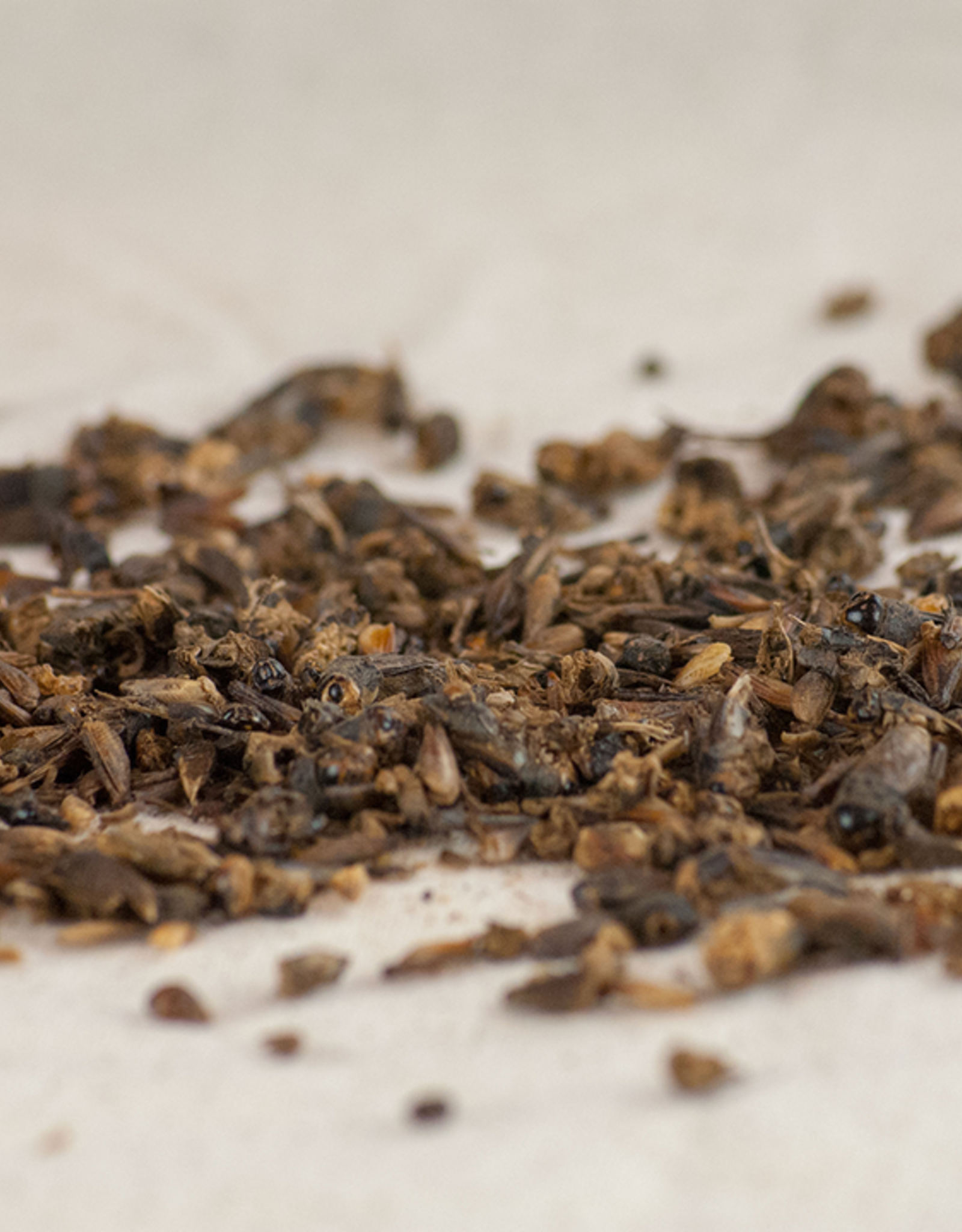 Happy Hen Treats Happy Hen Treats Cricket Craze 5 oz