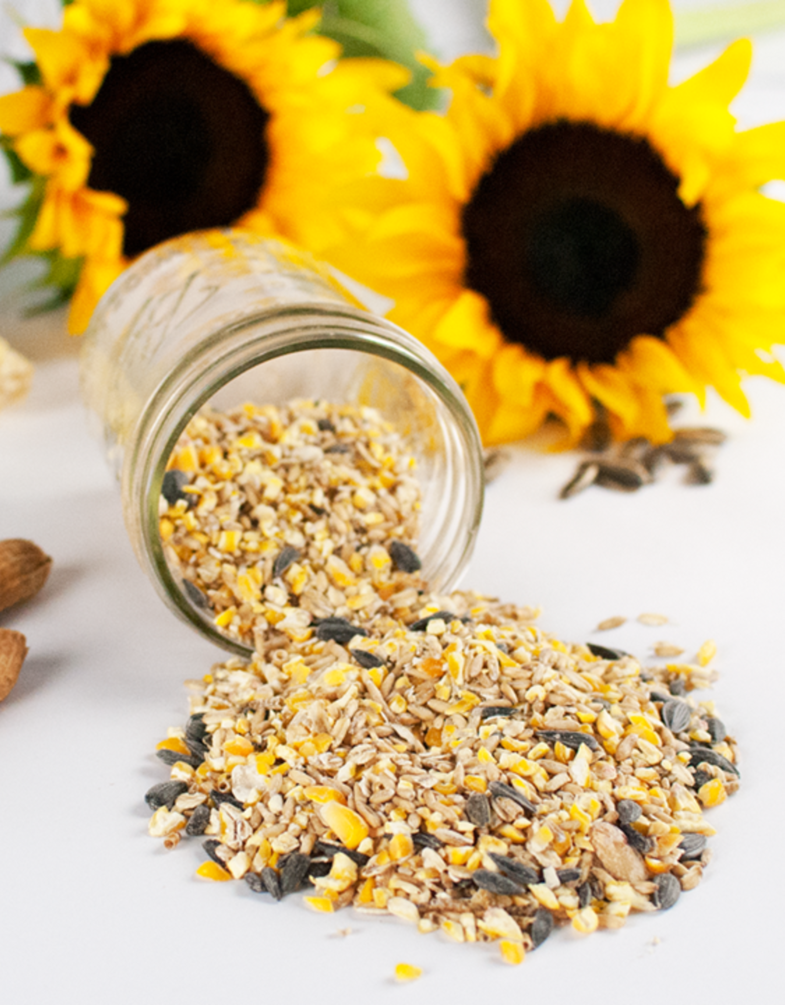 Happy Hen Treats Happy Hen Treats Poultry Mix Mealworms & Corn 2 lbs