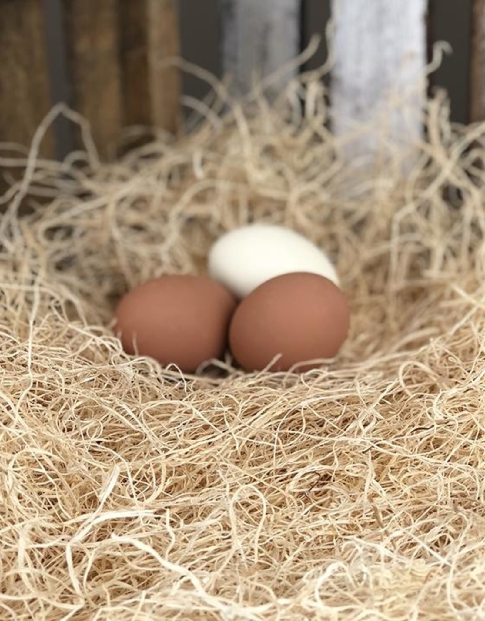 Happy Hen Treats Happy Hen Treats Poultry Nesting Pads 9.5 X 12 in. - Pack of 15