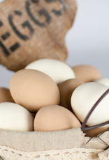 Durvet Happy Hen CERAMIC NEST EGGS WHITE 2 PACK