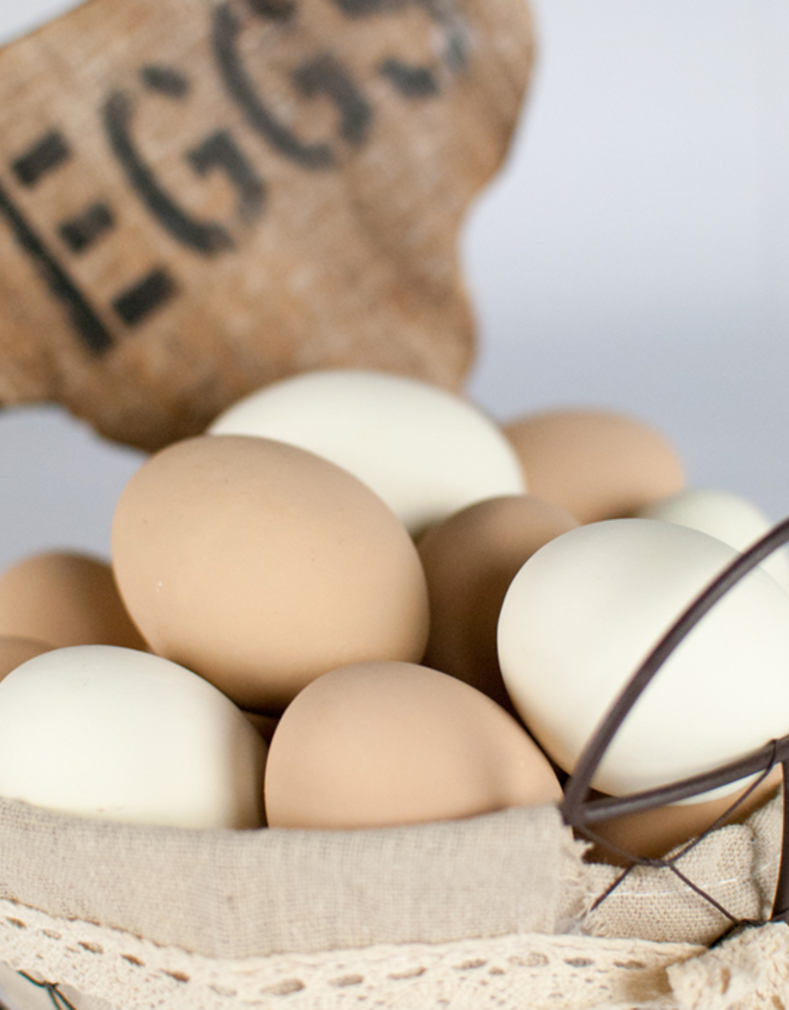 Durvet Happy Hen CERAMIC NEST EGGS WHITE 2 PACK