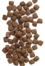 Earthborn Holistic EARTHBORN HOLISTIC DOG COASTAL CATCH 12.5LBS