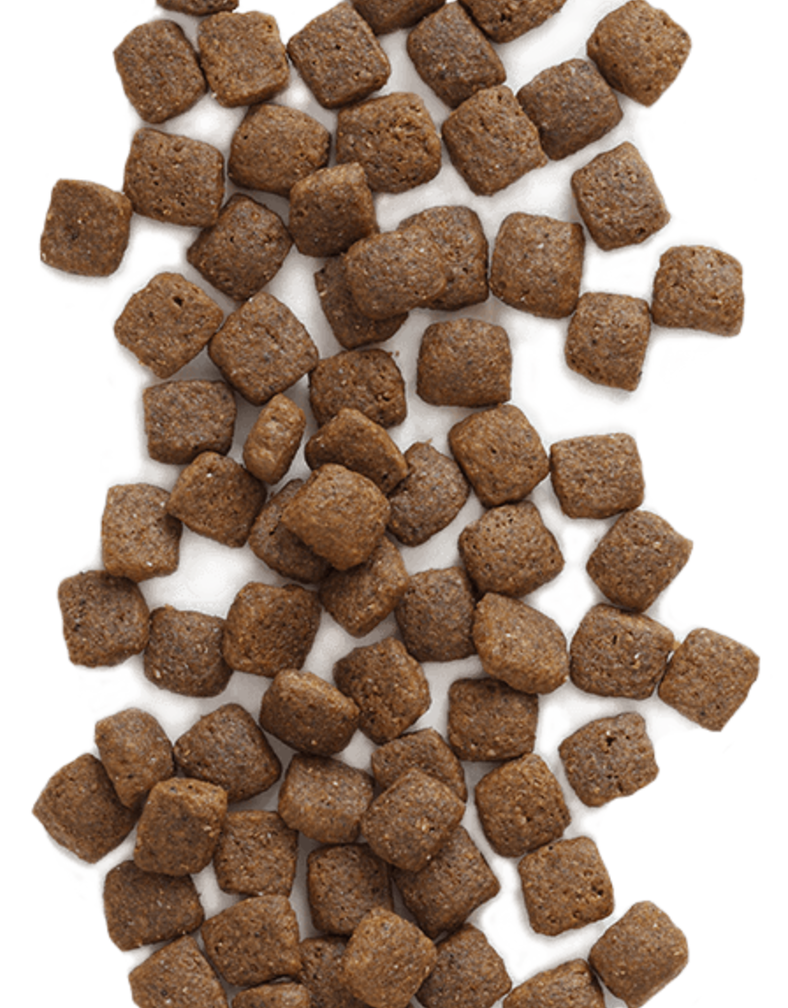 Earthborn Holistic EARTHBORN HOLISTIC DOG COASTAL CATCH 12.5LBS