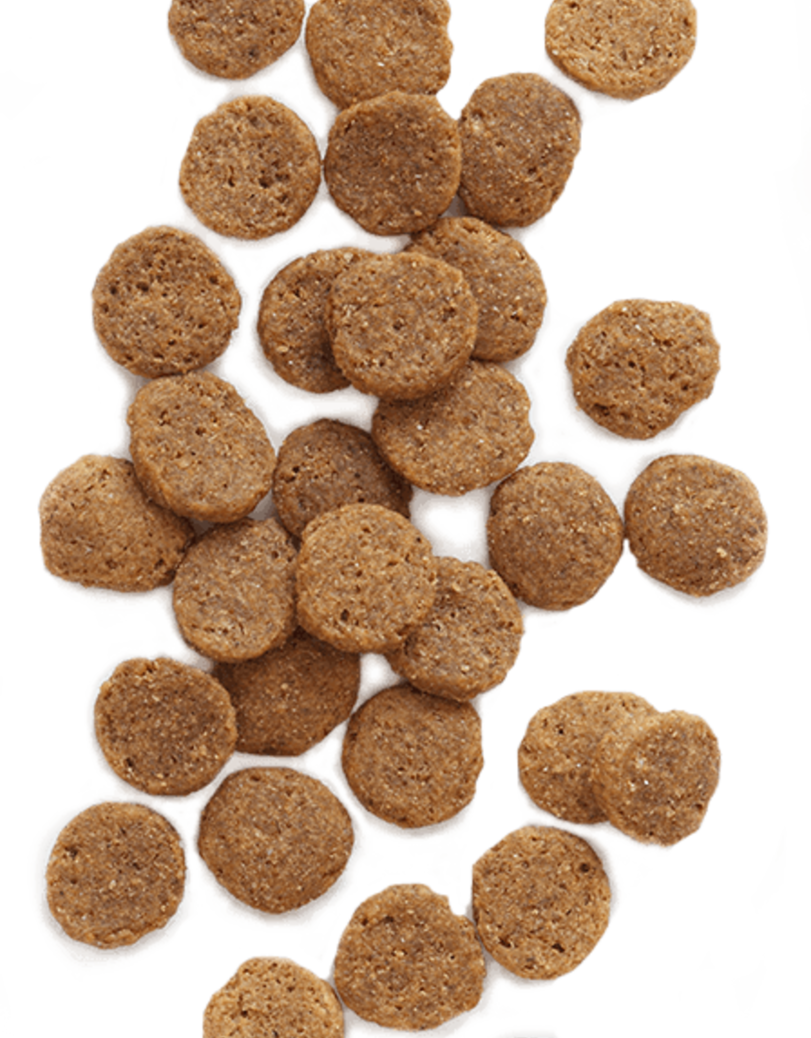 Earthborn Holistic EARTHBORN GREAT PLAINS FEAST 28LBS