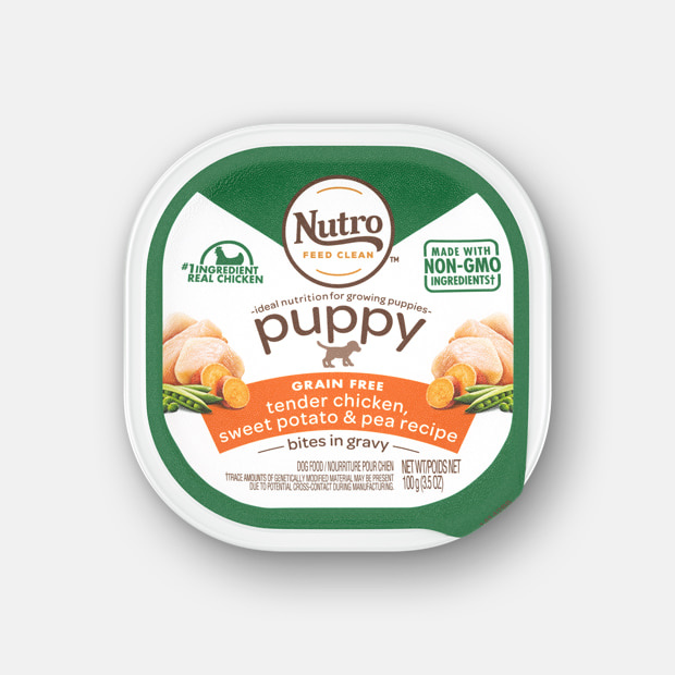 NUTRO PUPPY CHICKEN VEGS 3.5OZ CASE OF 24