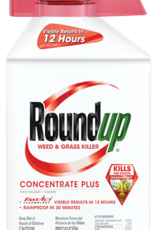 BAYER ROUNDUP WEED & GRASS KILLER 16OZ CONCENTRATE
