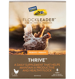 PERDUE PERDUE FLOCKLEADER THRIVE POULTRY SUPPLEMENT