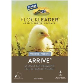 PERDUE PERDUE FLOCKLEADER ARRIVE POULTRY SUPPLEMENT 8OZ