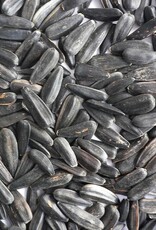 BLACK OIL SUNFLOWER 50LBS