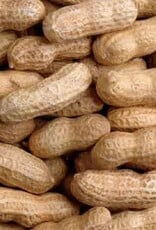 PEANUTS RAW IN SHELL 50 LBS