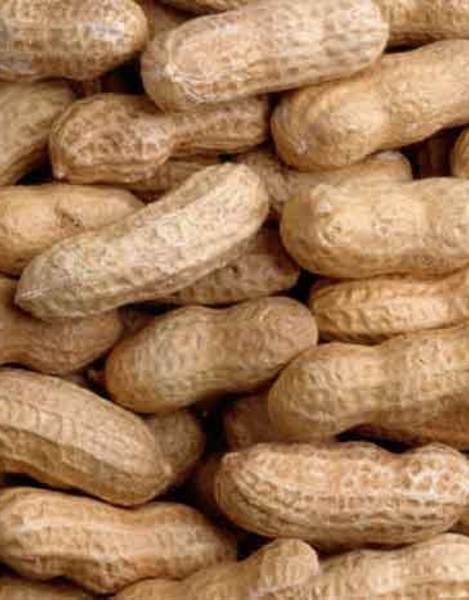 PEANUTS RAW IN SHELL 50 LBS
