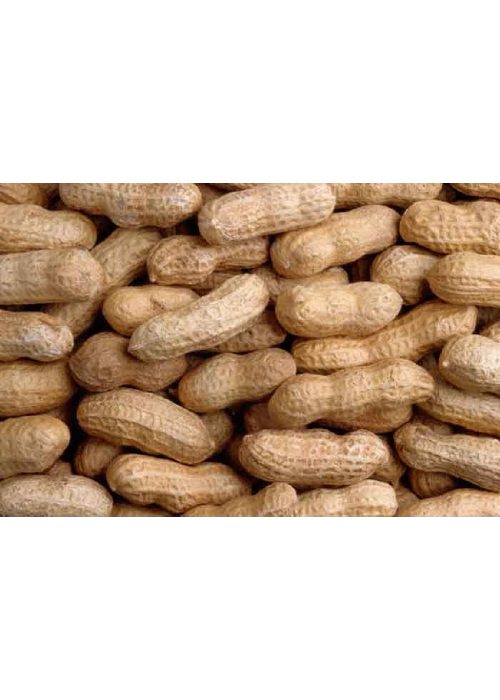 PEANUTS RAW IN SHELL 50 LBS