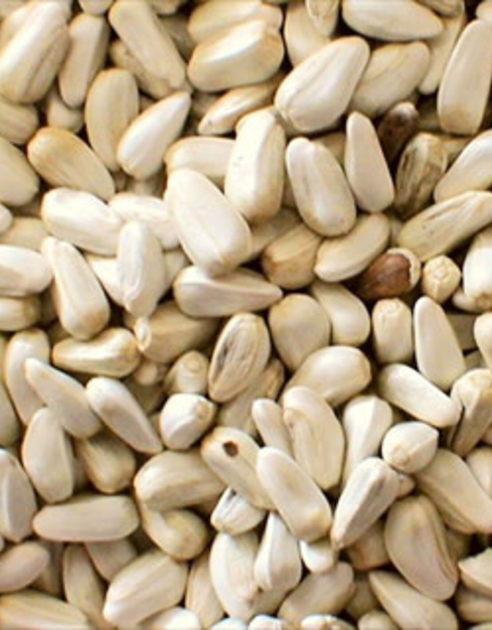 Pickering Valley Feed SAFFLOWER SEED 50 lbs