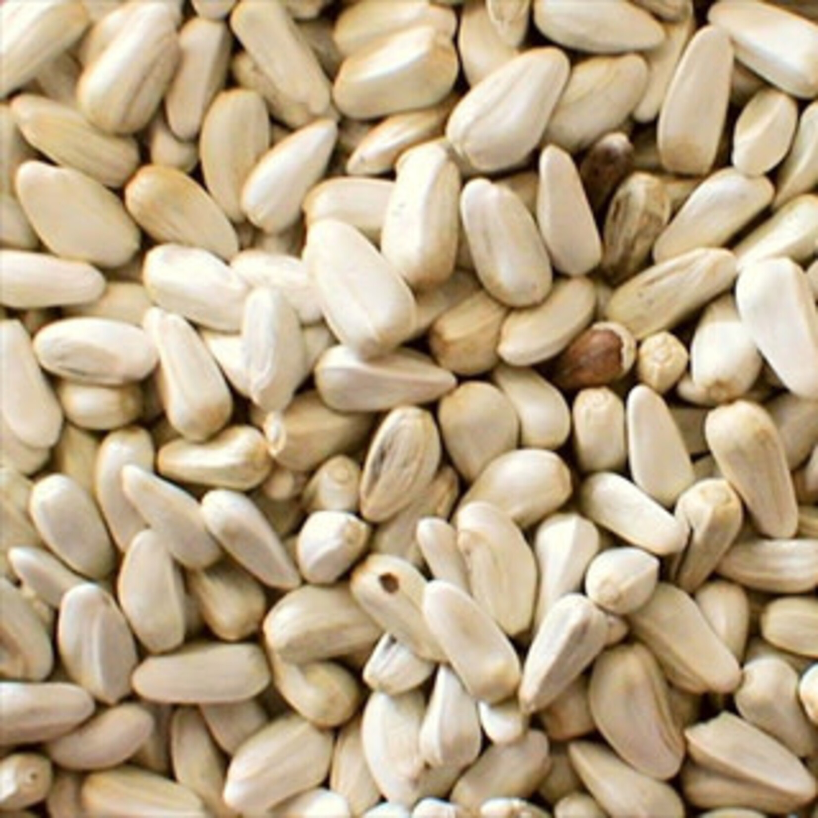 Pickering Valley Feed SAFFLOWER SEED 50 lbs