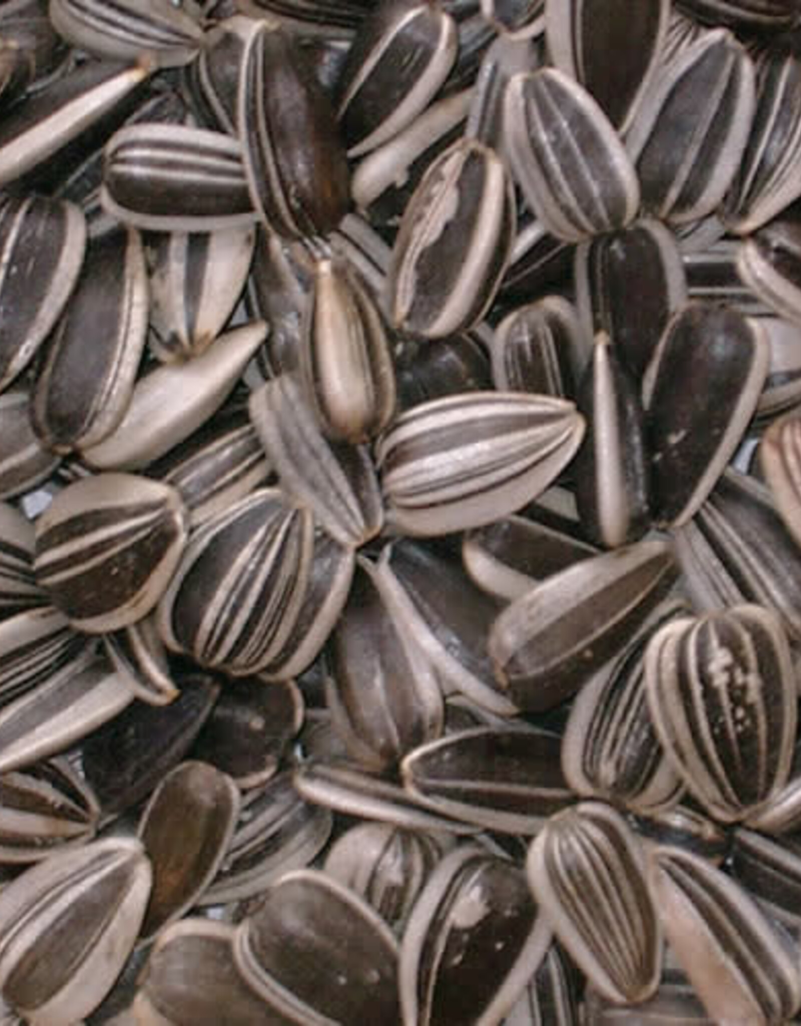 UNBRANDED STRIPED SUNFLOWER SEED 25 LBS