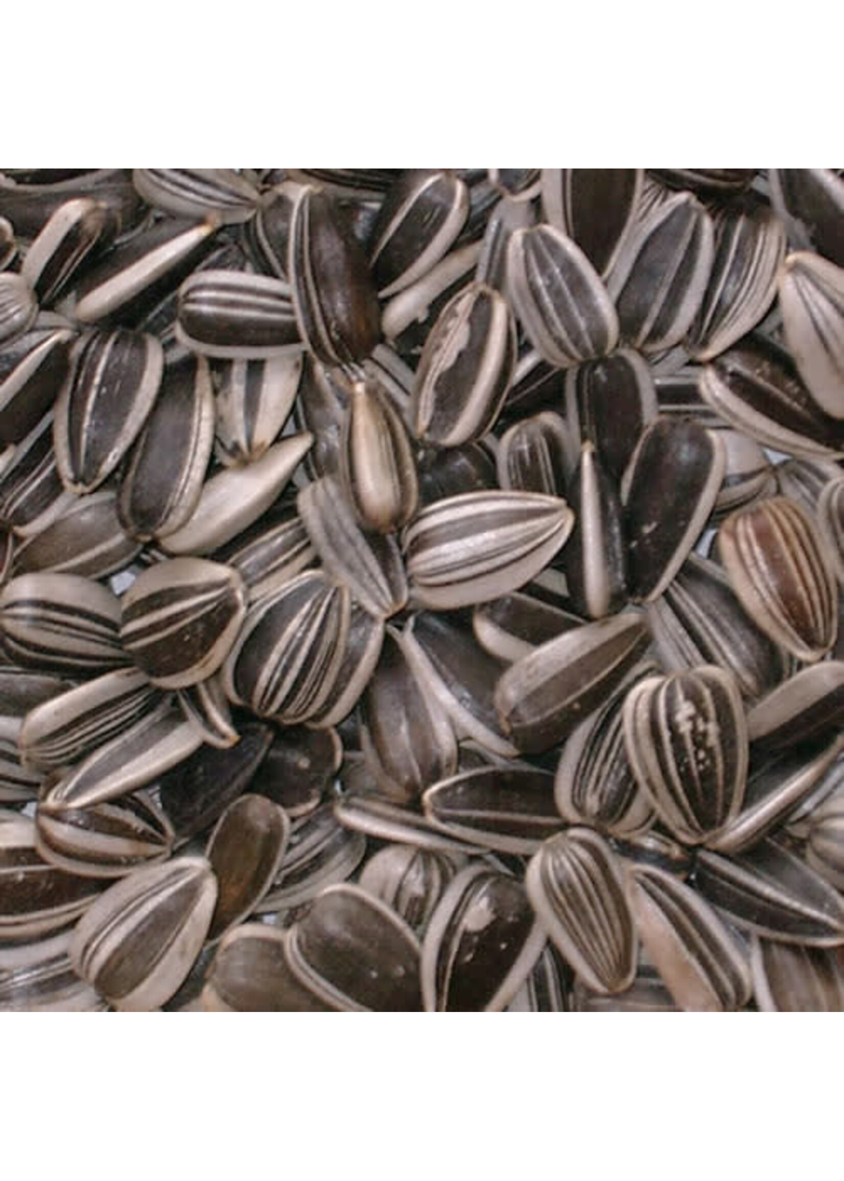 STRIPED SUNFLOWER SEED 25 LBS