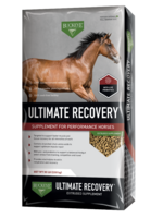 Buckeye Buckeye Ultimate Recovery Extruded Performance Supplement - 30 lb