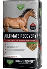 Buckeye Buckeye Ultimate Recovery Extruded Performance Supplement - 30 lb