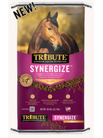 Tribute Tribute Synergize Pelleted Horse Feed - 50 lb