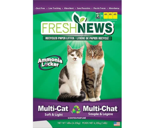 Fresh news litter hotsell
