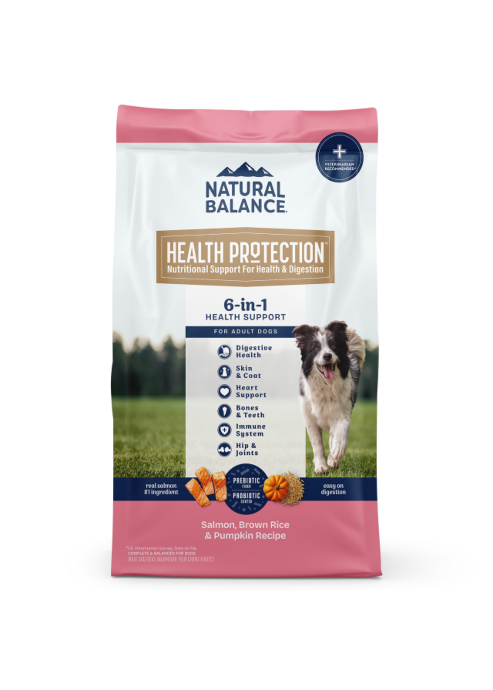 Natural Balance Natural Balance Health Protection Salmon, Rice & Pumpkin Dry Dog Food - 22 lb
