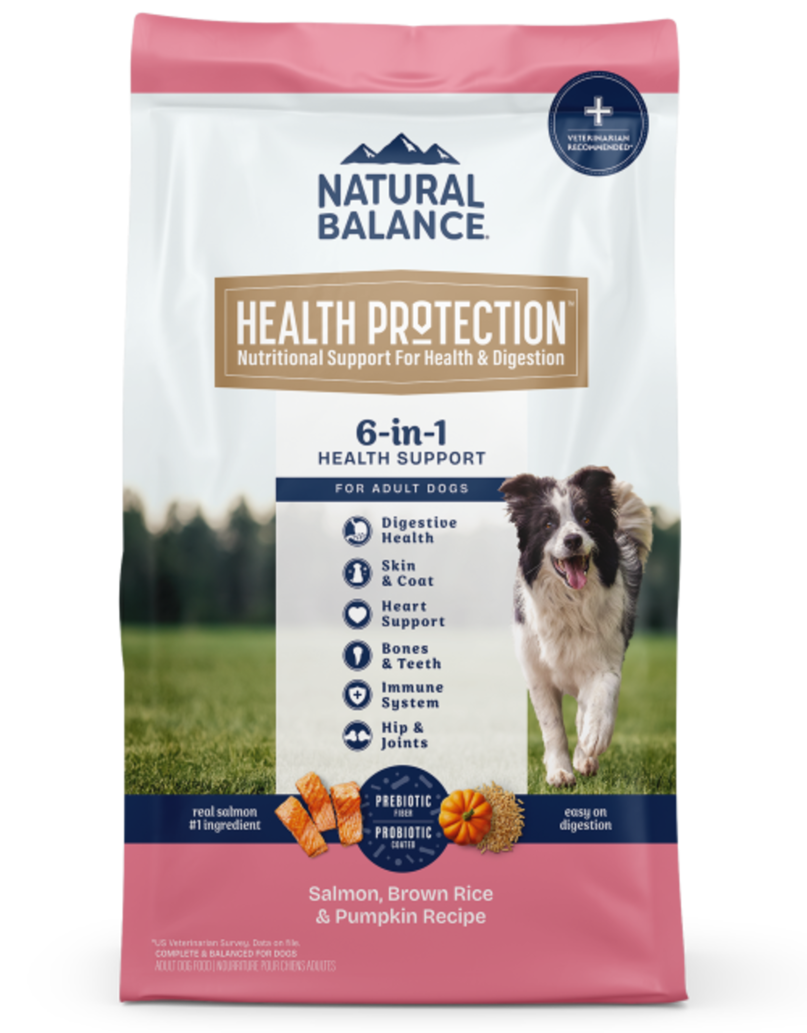 Natural Balance NATURAL BALANCE HEALTH PROTECTION SALMON, RICE & PUMPKIN 4 LB