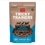 Cloud Star Cloud Star Tricky Trainers Salmon Soft & Chewy Dog Treats - 5 oz