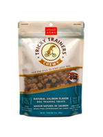 Cloud Star Cloud Star Tricky Trainers Salmon Soft & Chewy Dog Treats - 14 oz