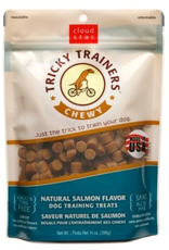 CLOUD STAR Cloud Star Tricky Trainers Salmon Soft & Chewy Dog Treats 14 oz