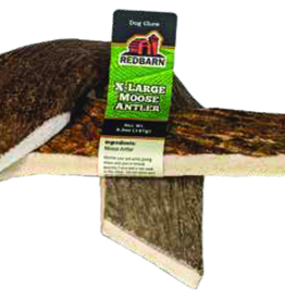 Redbarn Redbarn Natural Moose Antler Extra Large (7)