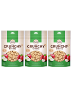 Nutro Nutro Crunchy Dog Treats Apple 10 Oz.