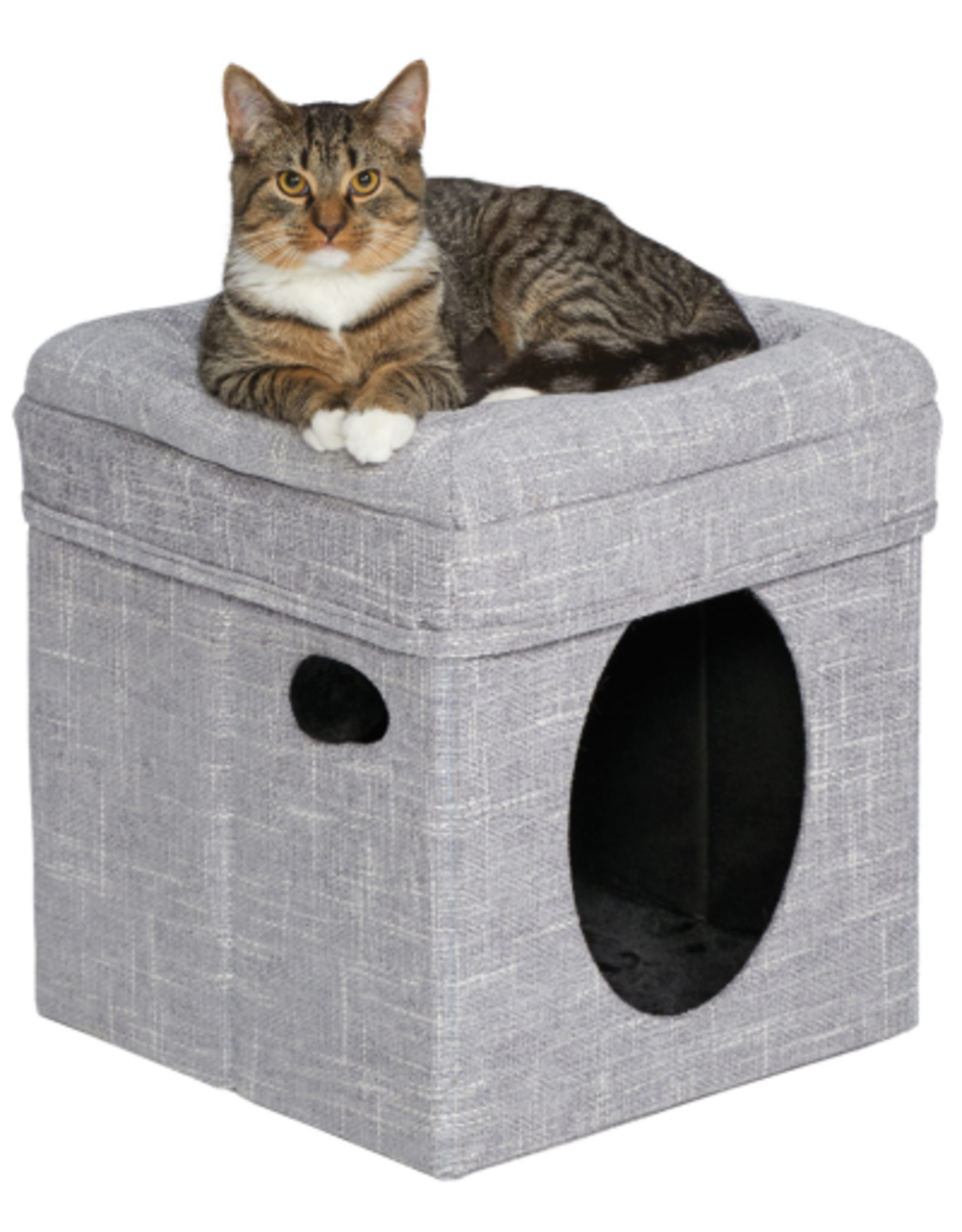 MidWest Midwest Curious Cube Silver Mesh for Cat