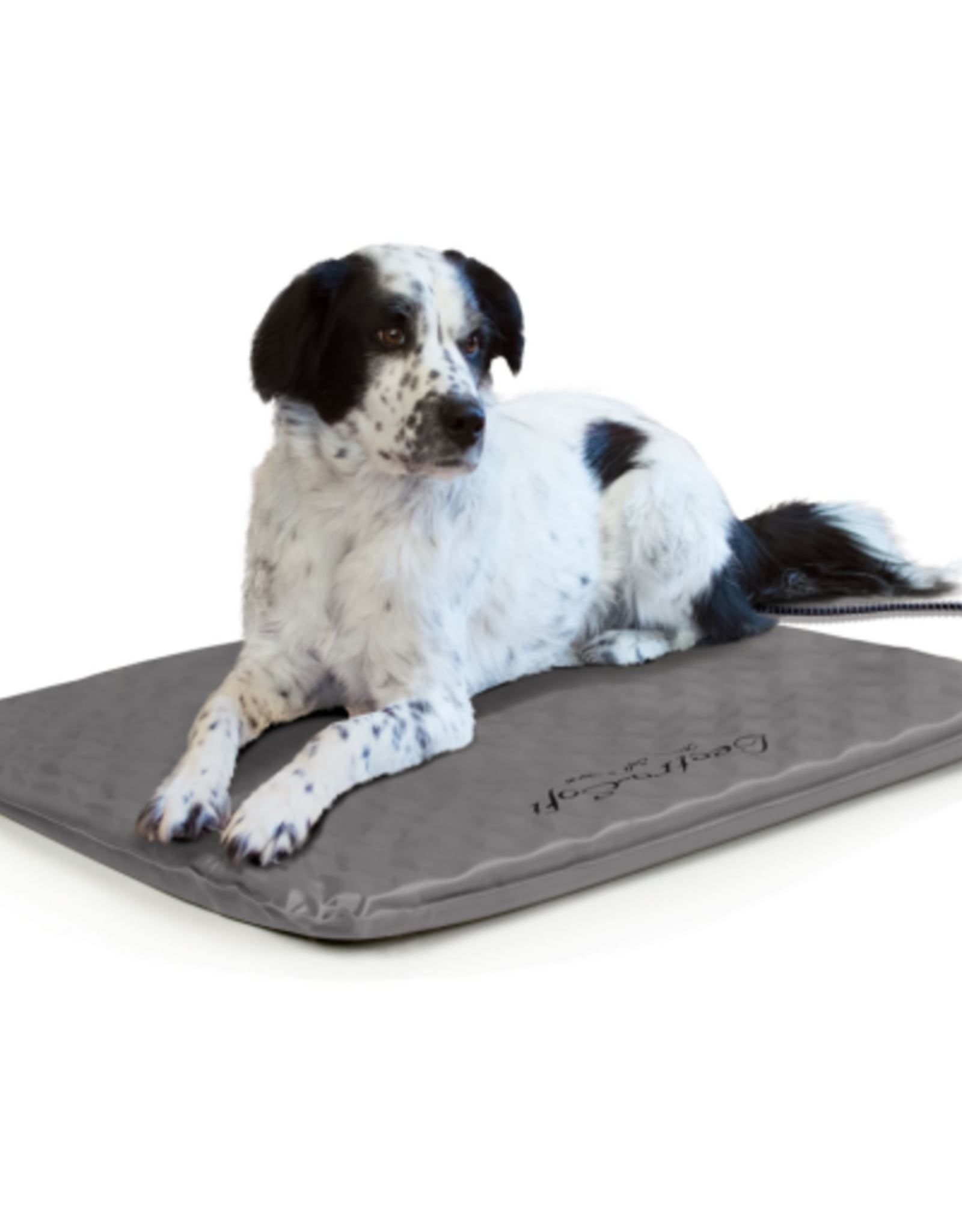 K&H Pet Products K&H Pet Products Lectro-Soft Outdoor Heated Pet Bed Gray Medium 19 X 24 Inches