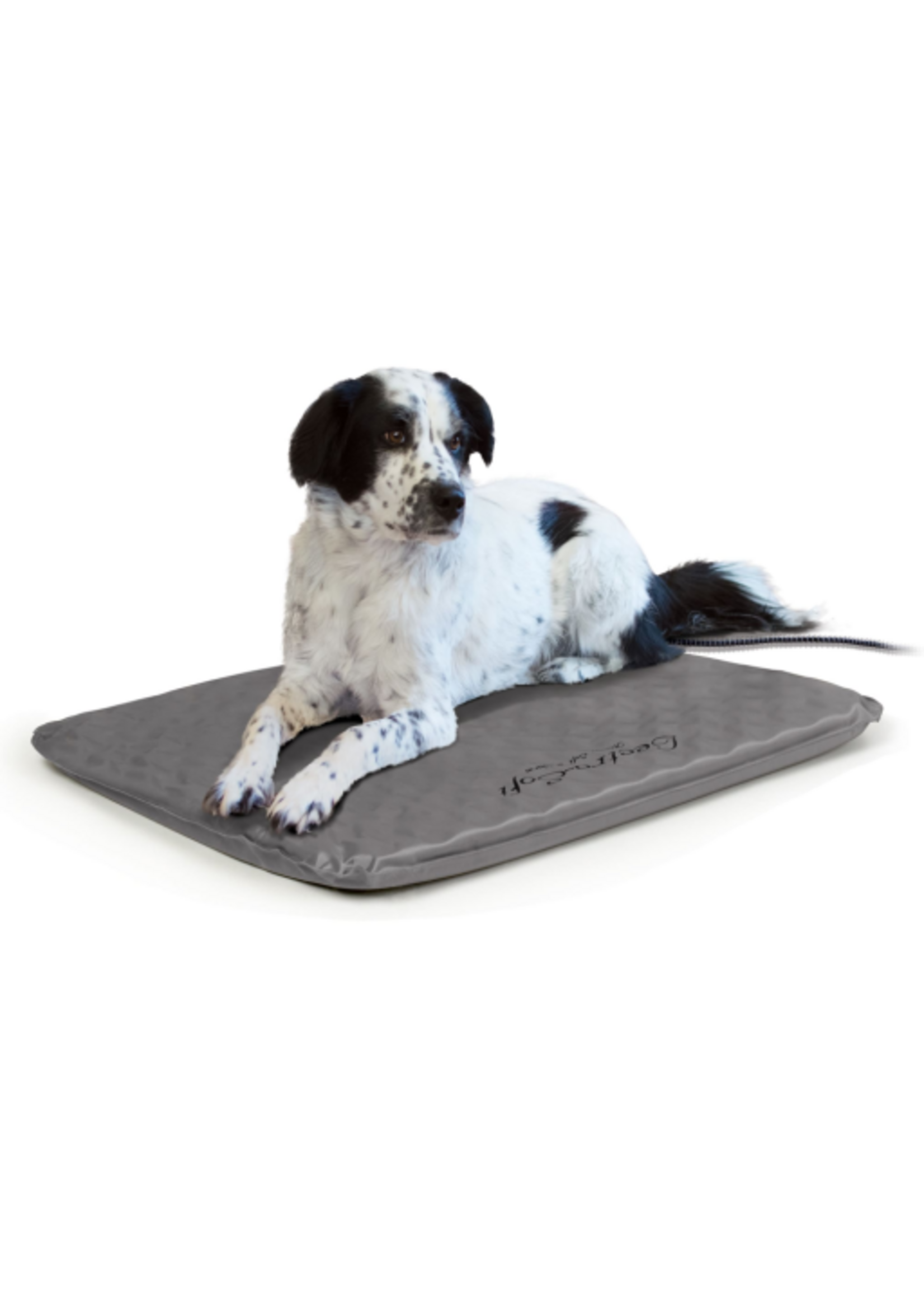 K&H Pet Products K&H Pet Products Lectro-Soft Outdoor Heated Pet Bed Gray Medium 19 X 24 Inches