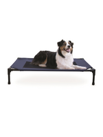 K&H Pet Products K&H Pet Products Original Pet Cot Elevated Dog Bed Blue/Black  Large 30 X 42 X 7 in
