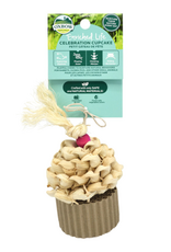 Oxbow Oxbow Enriched Life Celebration Cupcake Enrichment Toy For Small Animals