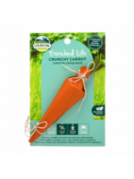 Oxbow Oxbow Crunchy Carrot for Small Animals